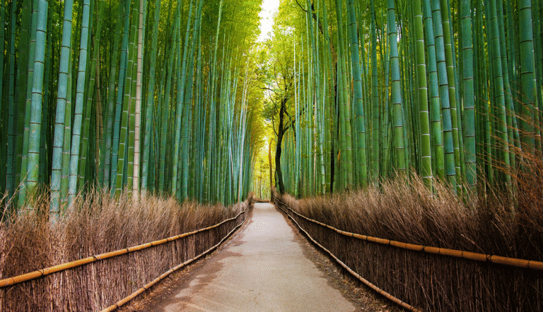 Nachhaltigkeit als Haltung //