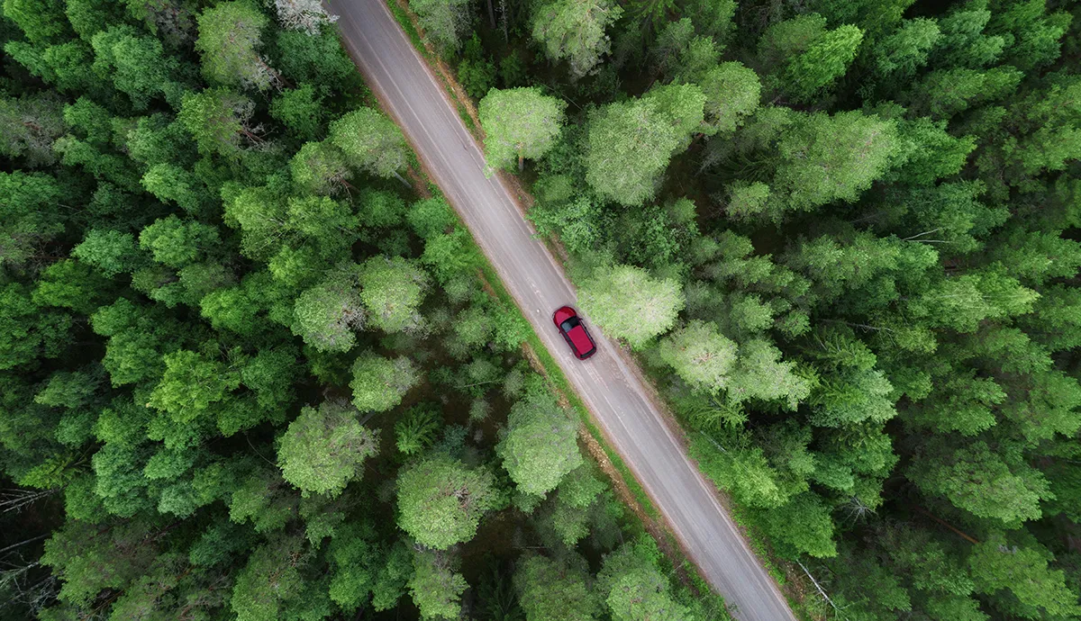 Aerial view of green forest and red car on the road